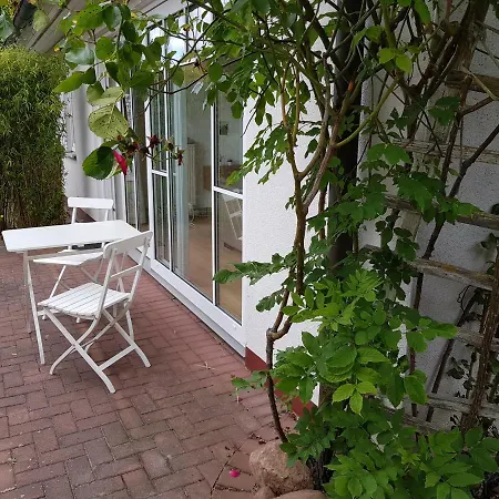 Premium-Lodge Im Der Suedschwede ... Dein Gaestehaus Mitten In Zingst Exterior photo