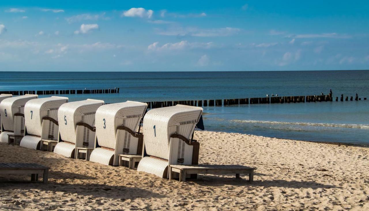 Premium-lodge Im Der Suedschwede ... Dein Gaestehaus Mitten In Apartment Zingst