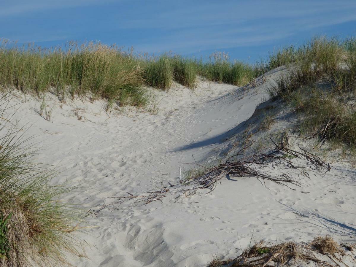 Apartment Premium-lodge Im Der Suedschwede ... Dein Gaestehaus Mitten In Zingst