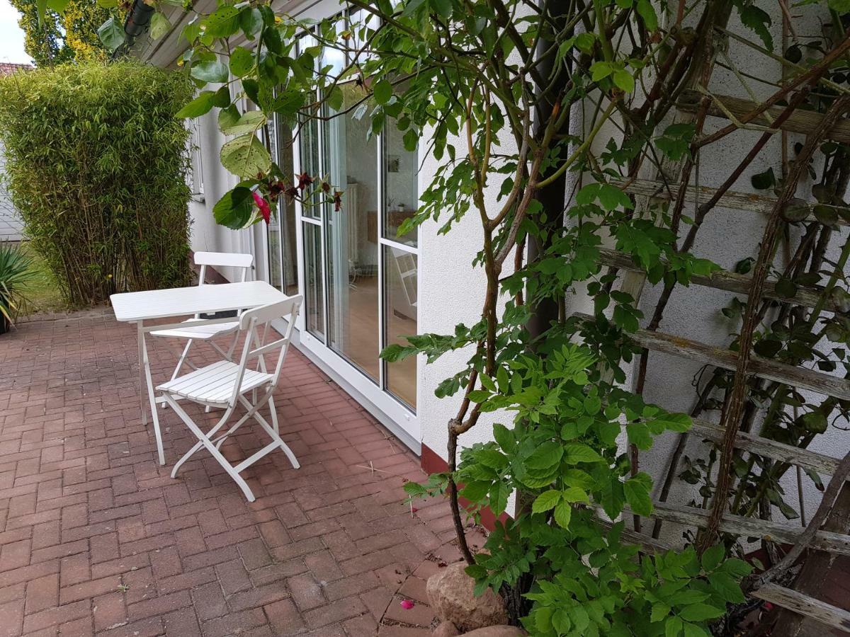 Premium-lodge Im Der Suedschwede ... Dein Gaestehaus Mitten In * Zingst